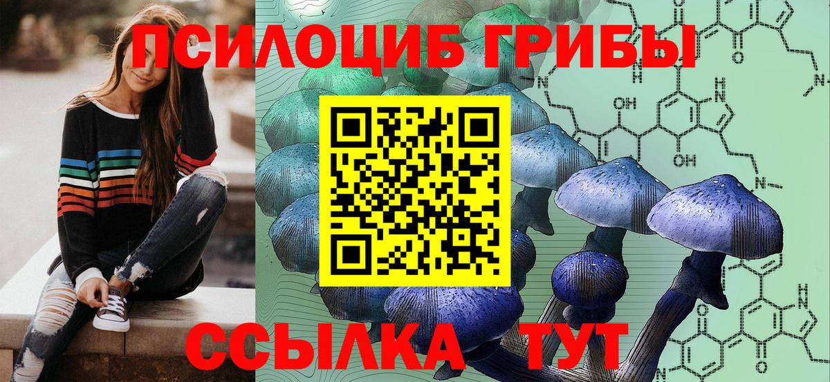 цены наркотик  Вход с VPN  Вышний Волочёк  Галлюциногенные грибы прущие грибы 
