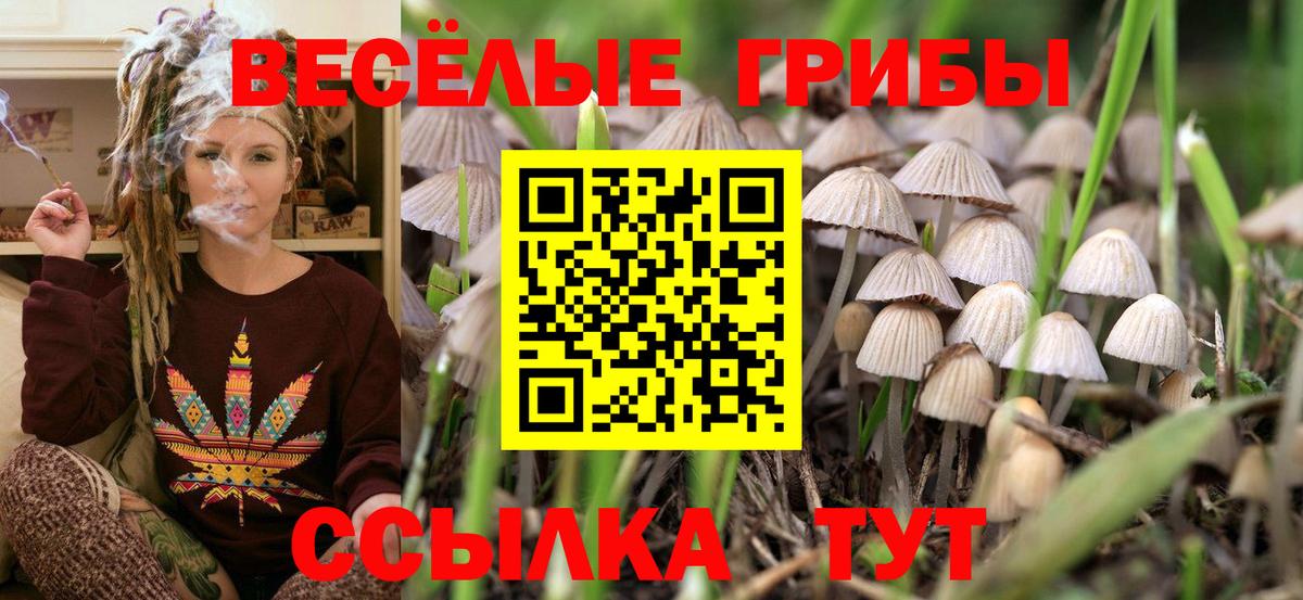 Галлюциногенные грибы Cubensis Вышний Волочёк